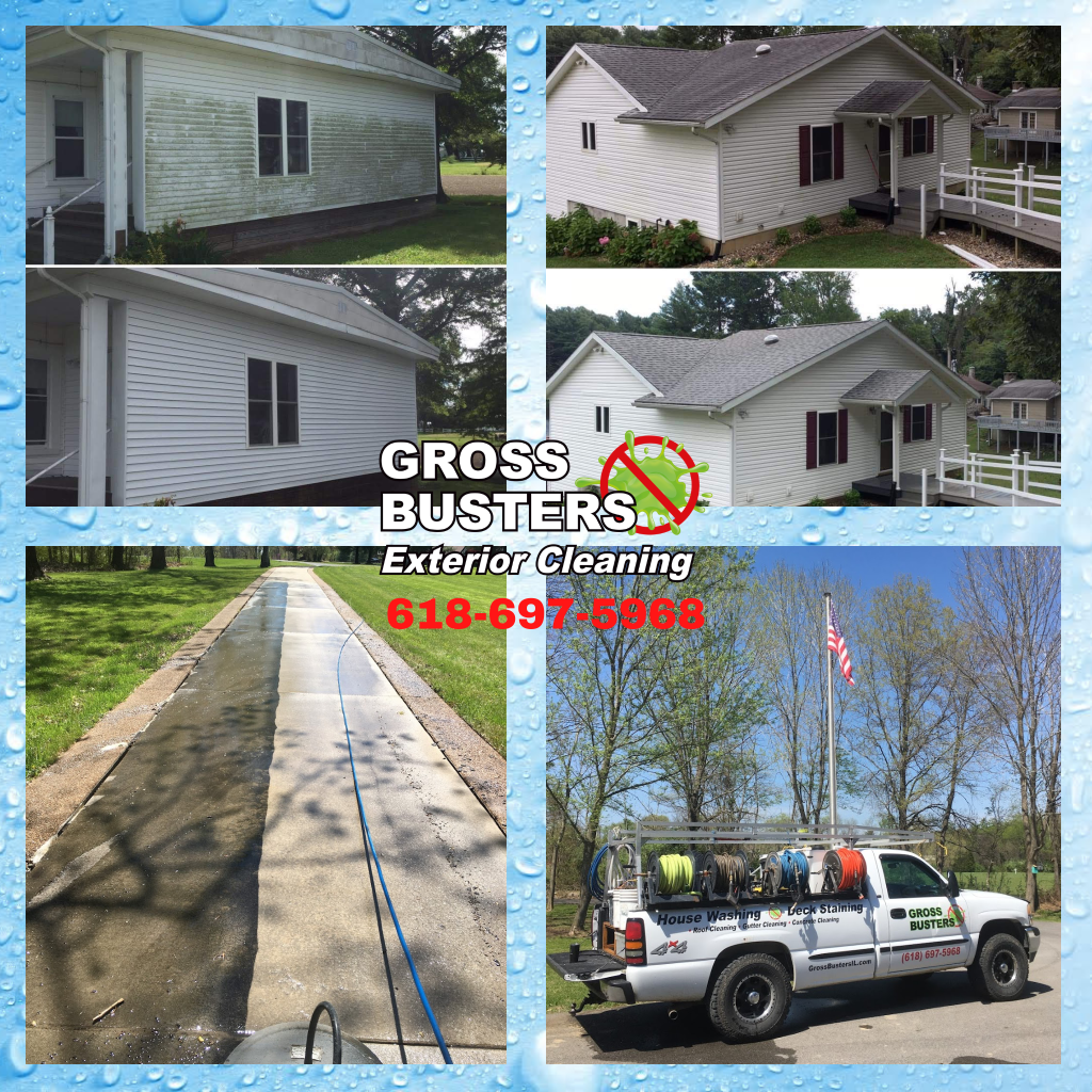 Normaliser Gross Busters Blog – Gross Busters Exterior Cleaning