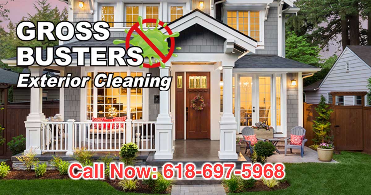 Normaliser Gross Busters Christmas Light Installation – Gross Busters Exterior Cleaning